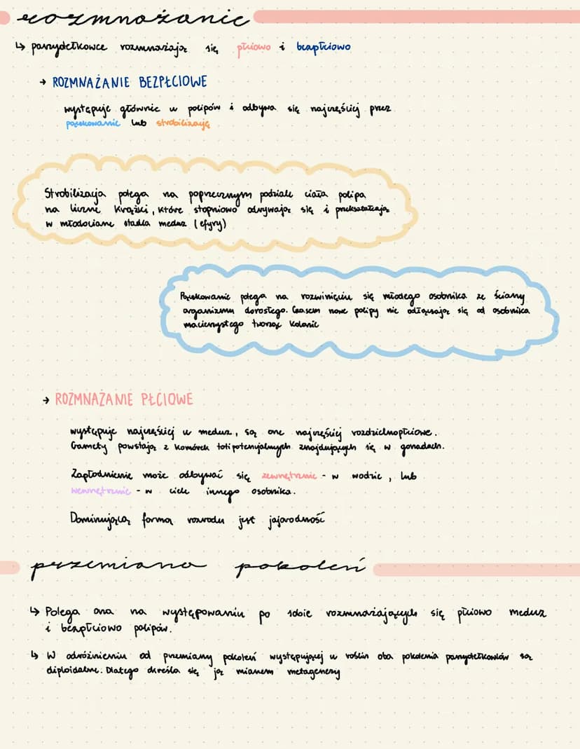 par
↳tkankowe zwierzęta duinewarstwowe o
↳ żyją we wszystkich strefach klimatycznych, wyłącanic
↳ dzieląr
się
в wystepwjaz
POLIP->
sydechowc
