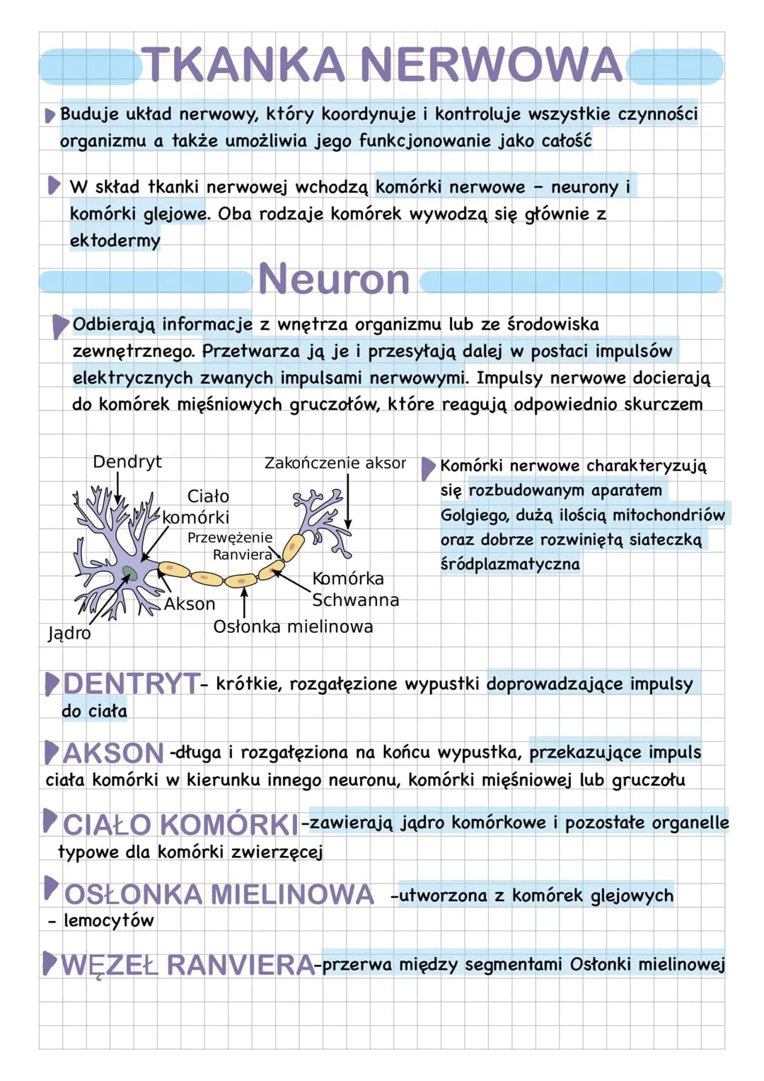 Tkanka nerwowa