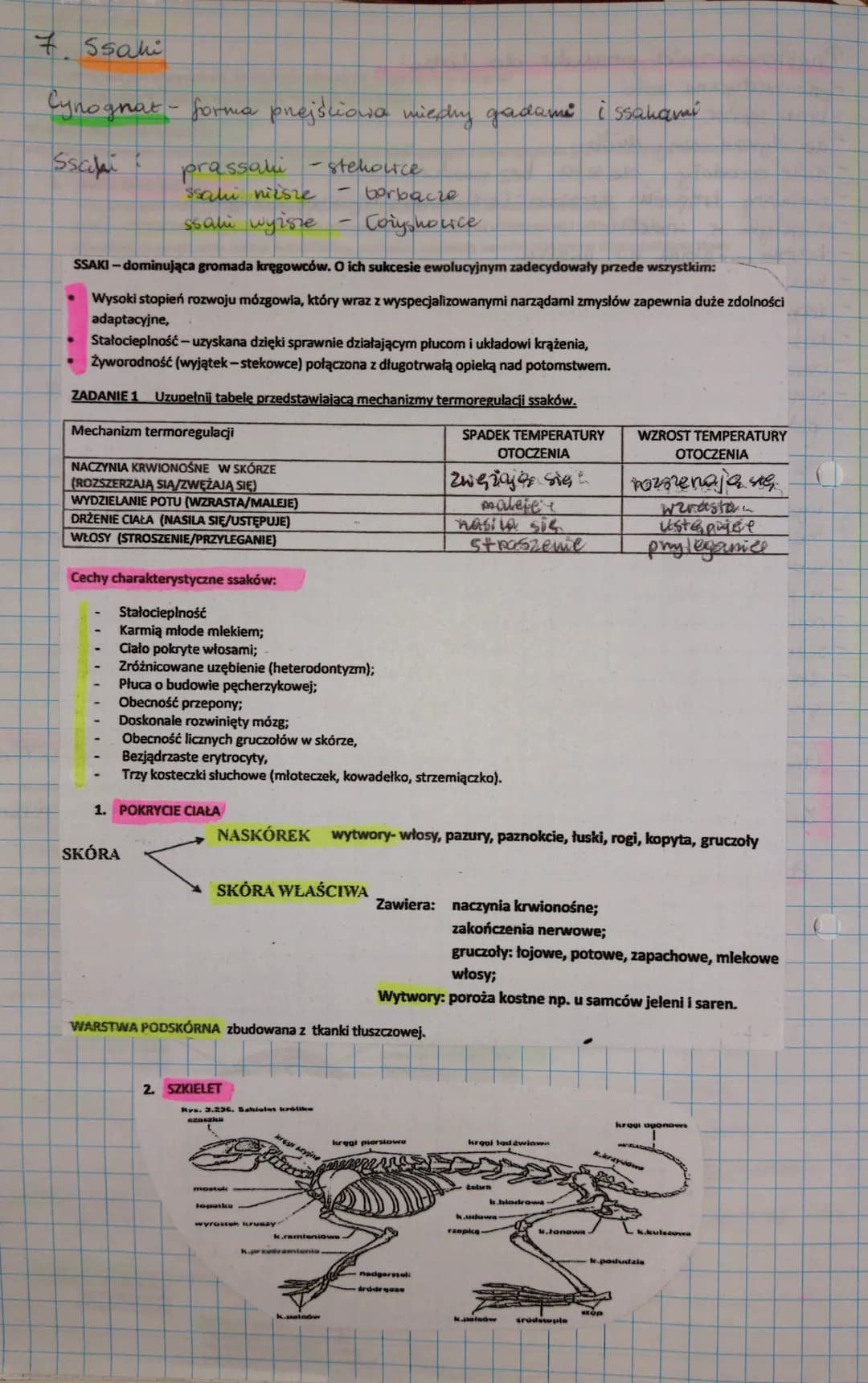 7 Ssaki
Cynognat- forma przejściowa międy gadami issahami
Ssaki
prassali
$sahi nizsie
ssani wyższe
SSAKI-dominująca gromada kręgowców. O ich