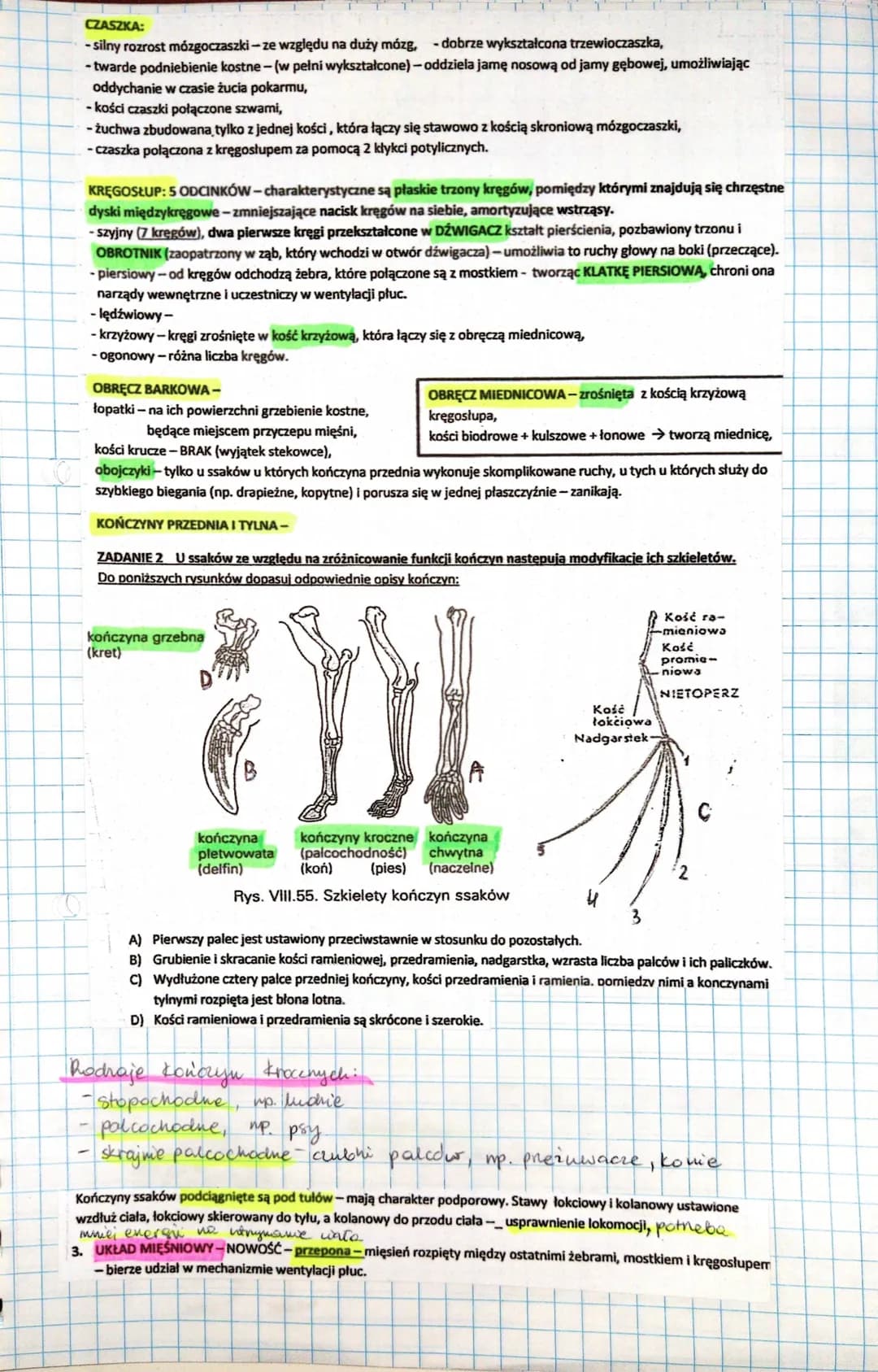 7 Ssaki
Cynognat- forma przejściowa międy gadami issahami
Ssaki
prassali
$sahi nizsie
ssani wyższe
SSAKI-dominująca gromada kręgowców. O ich