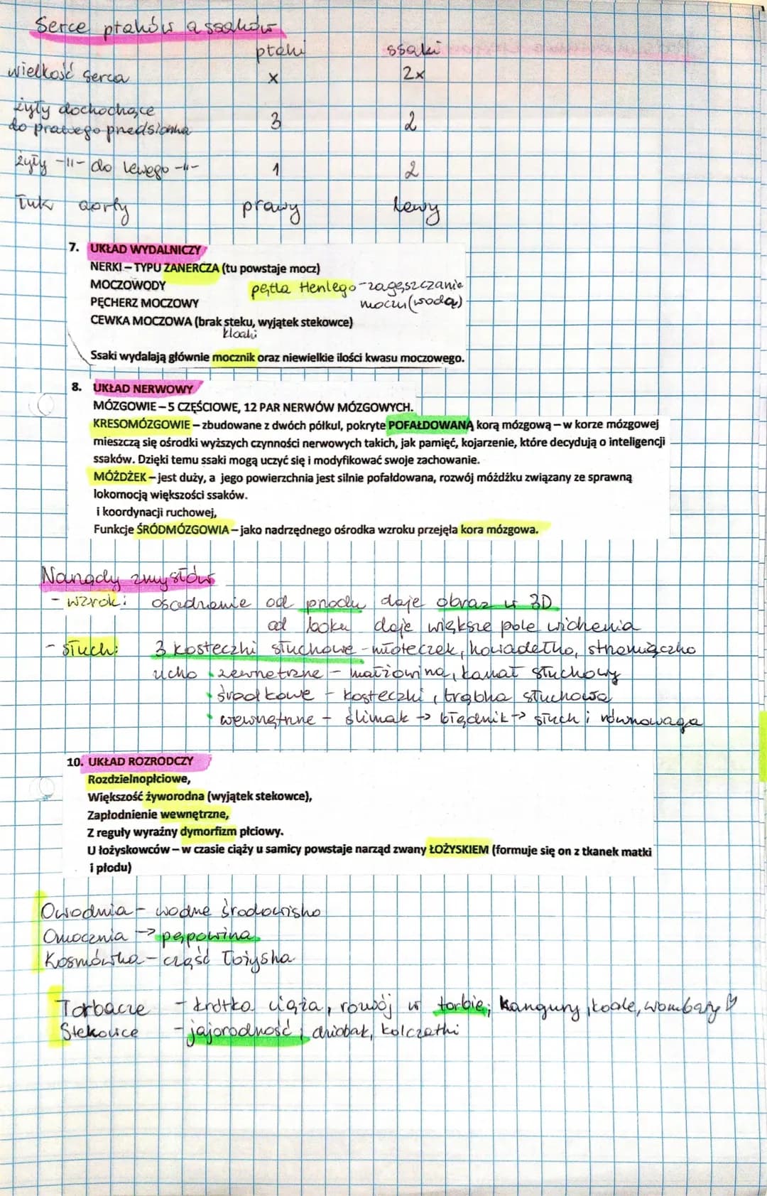 7 Ssaki
Cynognat- forma przejściowa międy gadami issahami
Ssaki
prassali
$sahi nizsie
ssani wyższe
SSAKI-dominująca gromada kręgowców. O ich