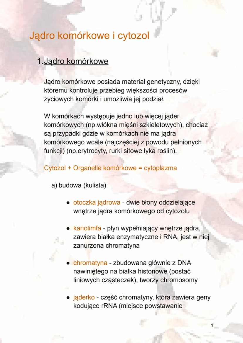 Omów Budowę Jądra Komórkowego I Określ Jego Funkcje W Komórce Budowa i funkcje jądra komórkowego i cytozolu - prosto i jasno