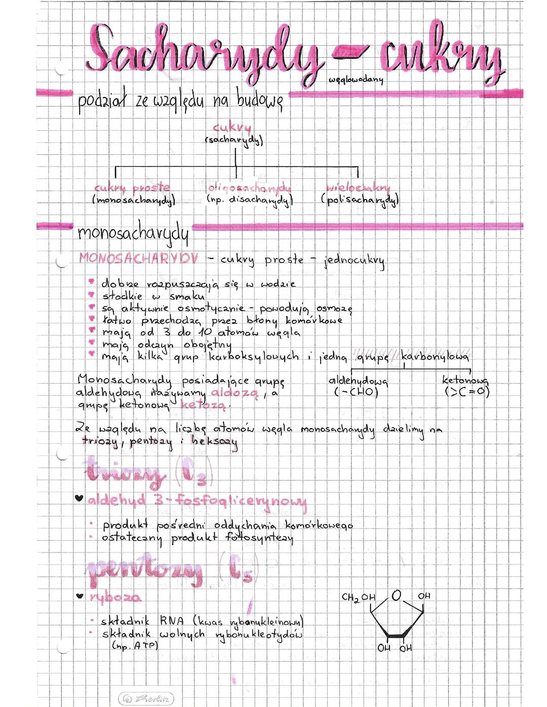 Sacharydy: Monosacharydy, Oligosacharydy i Polisacharydy