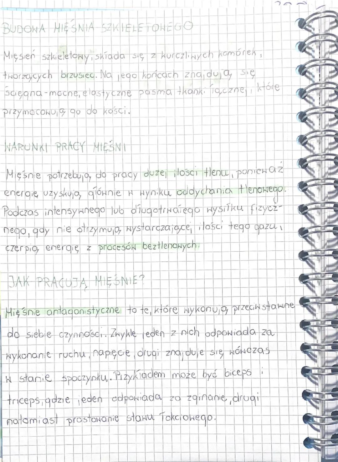 # Budowa i rola
mięsni

Wszystkie mięśnie ciała tworzy ukiad mięśniony.
Na pracę niektórych mięśni mozemy пріунac, a inne
pracują niezalezni