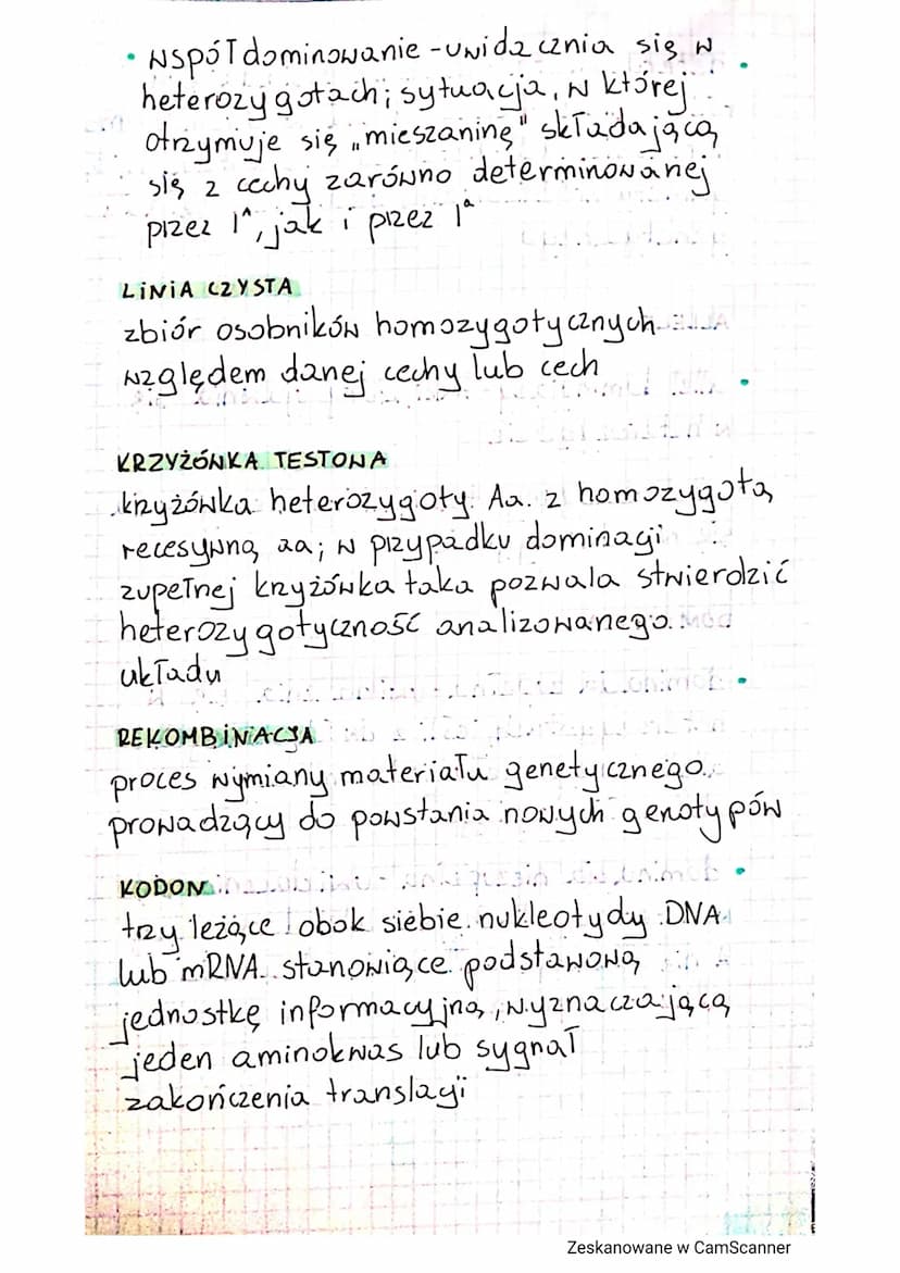 DZIEDZICZENIE CECH
GENI ALLELE
gen - podstawowa jednostka dziedziczności
jest odcinkiem DNA zawierającym W
sobie informace o budowie jednego