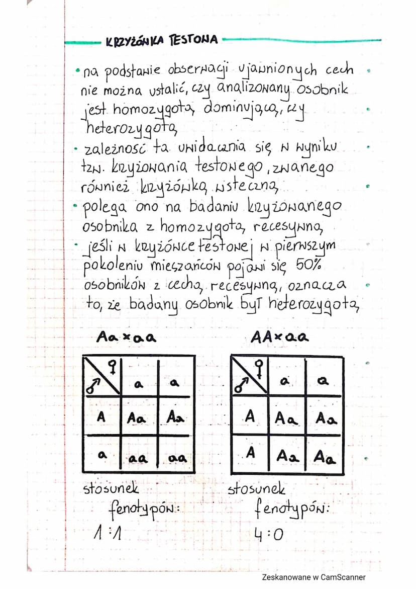 DZIEDZICZENIE CECH
GENI ALLELE
gen - podstawowa jednostka dziedziczności
jest odcinkiem DNA zawierającym W
sobie informace o budowie jednego