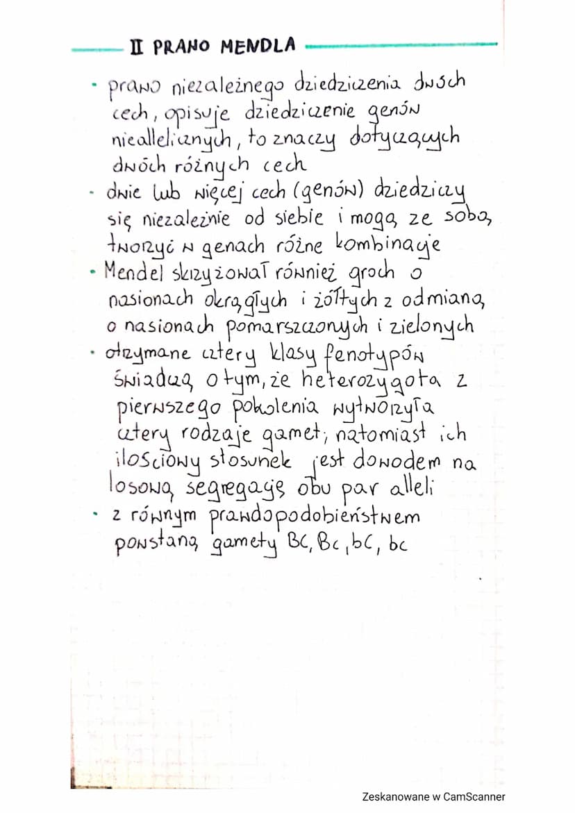 DZIEDZICZENIE CECH
GENI ALLELE
gen - podstawowa jednostka dziedziczności
jest odcinkiem DNA zawierającym W
sobie informace o budowie jednego