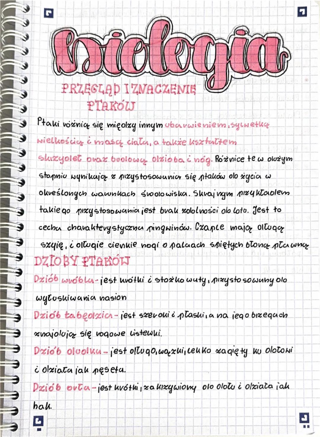 # biologia

PRZEGLĄD IZNACZENIĘ
PTAKOW

Ptaki vożnią się mięolzy innym ubarwieniem, sylwetka
wielkością i masą ciała, a także kształtem
shiz