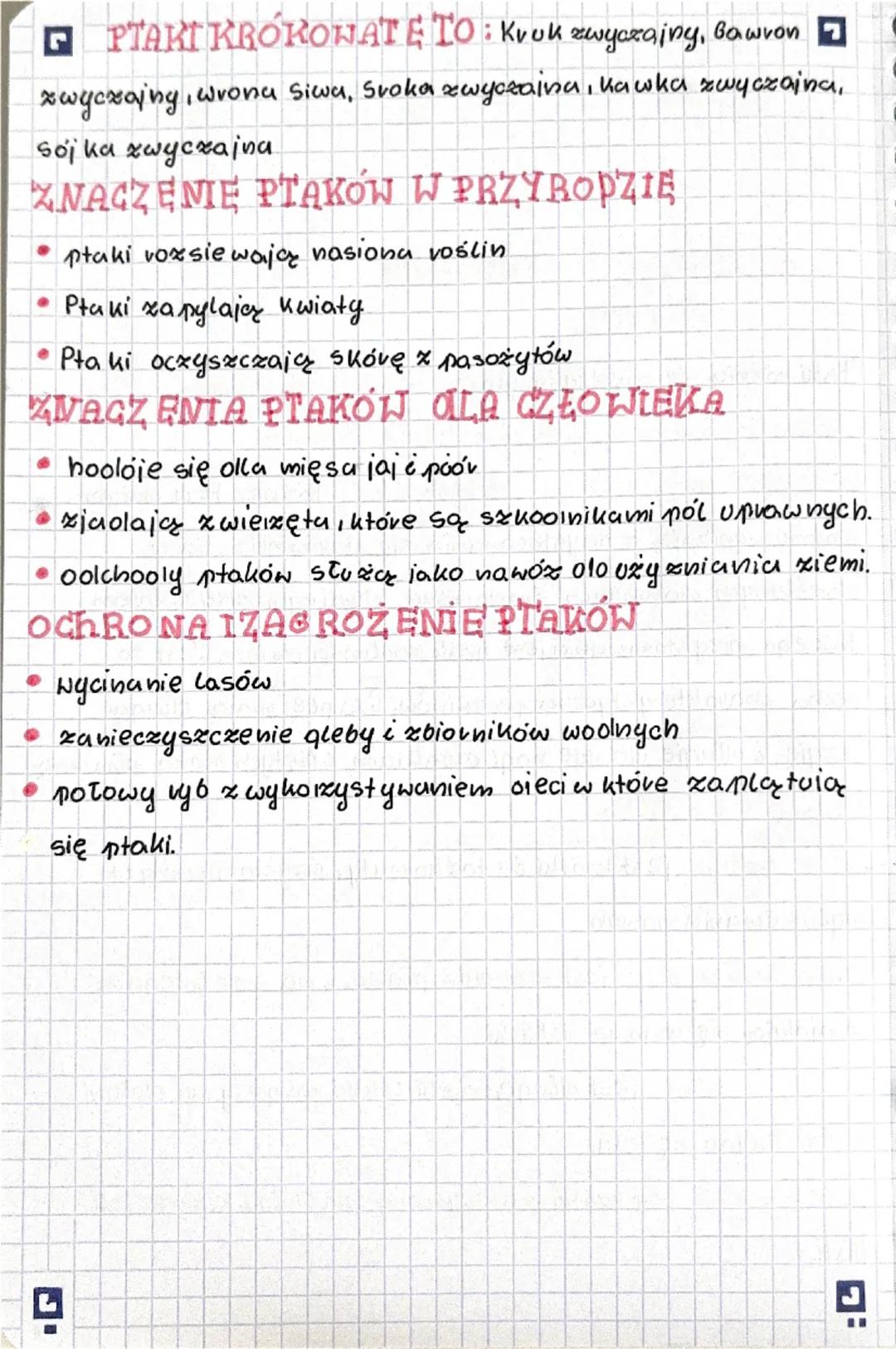# biologia

PRZEGLĄD IZNACZENIĘ
PTAKOW

Ptaki vożnią się mięolzy innym ubarwieniem, sylwetka
wielkością i masą ciała, a także kształtem
shiz