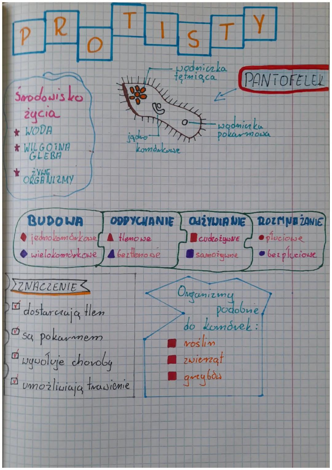 # WIRUSY

CHOROBY
* Grypa. Aids
* Os pa
* Odiva
* Różyczka
* Świnka

NAMNAŻAJA
SIET
* ze składników
wytwarzanych prez
komórkę gospodarza,
* 