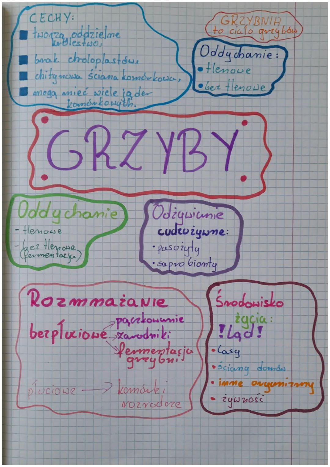 # WIRUSY

CHOROBY
* Grypa. Aids
* Os pa
* Odiva
* Różyczka
* Świnka

NAMNAŻAJA
SIET
* ze składników
wytwarzanych prez
komórkę gospodarza,
* 