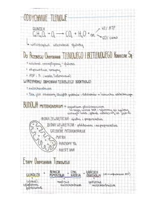 Know Oddychanie tlenowe, procesu beztlenowego uzyskiwania energii, inne procesy metaboliczne, metabolizm thumbnail