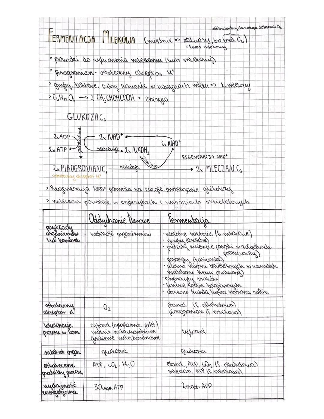 ODDYCHANIE TLENOWE
GLUKOZA
CHO + O — CO, + HO ten
+
*
wieloctapawe utlenianie glukozy
DO PRZEBIEGU ODDYCHANIA TLENOWEGO I BEZTLENOWEGO KONIE