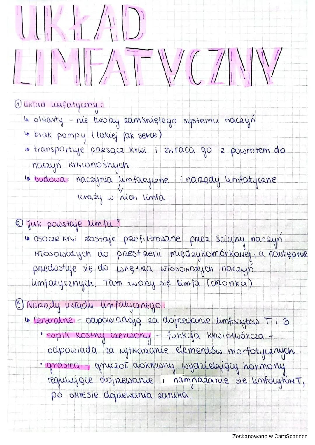 Układ limfatyczny - Budowa, Funkcje i Znaczenie