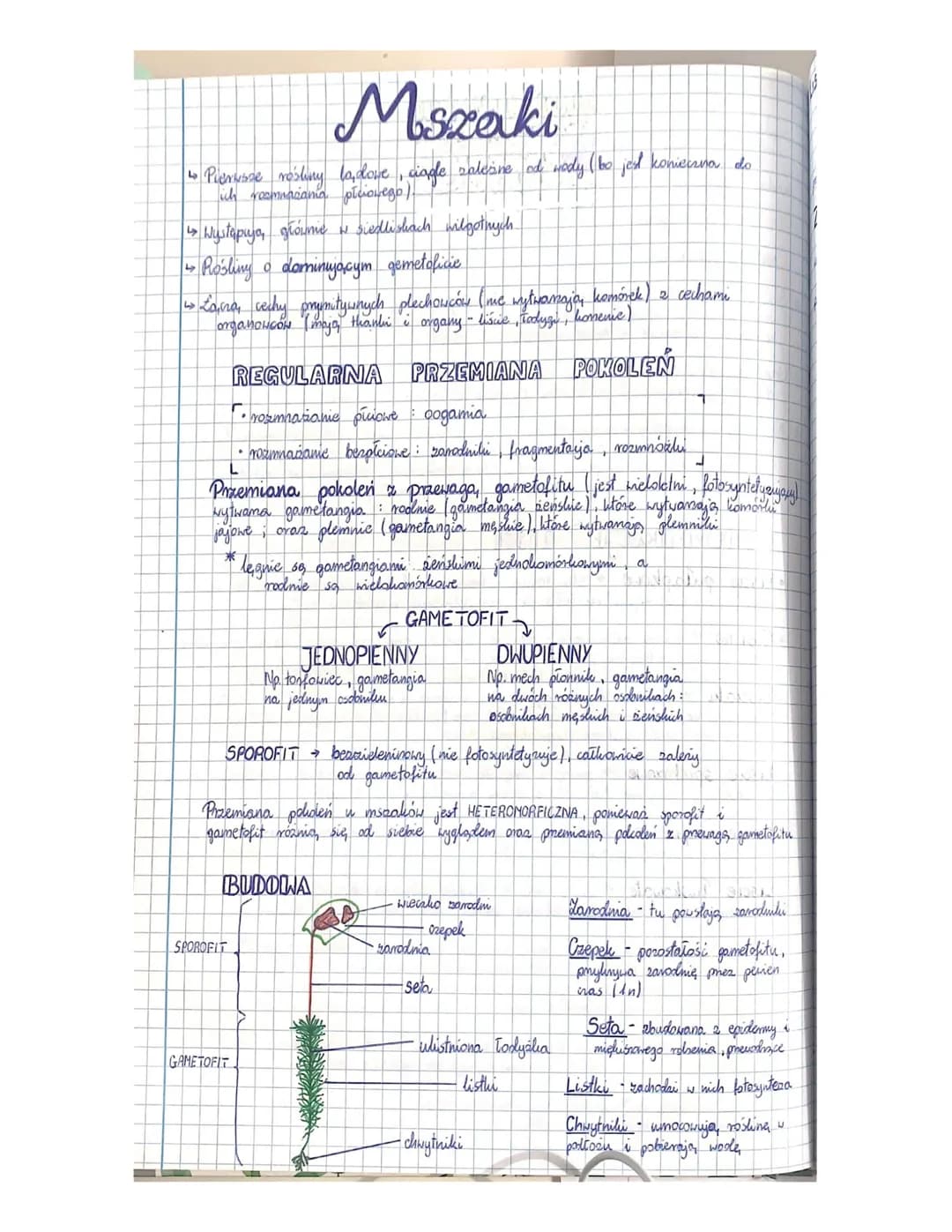 Mszaki
↳o Pierwsze rośliny lo, dove, ciągle zalezine od wody ( bo jest konieczna do
ich resmiaciania płcionego).
↳ Wystapiya, głównie w sied