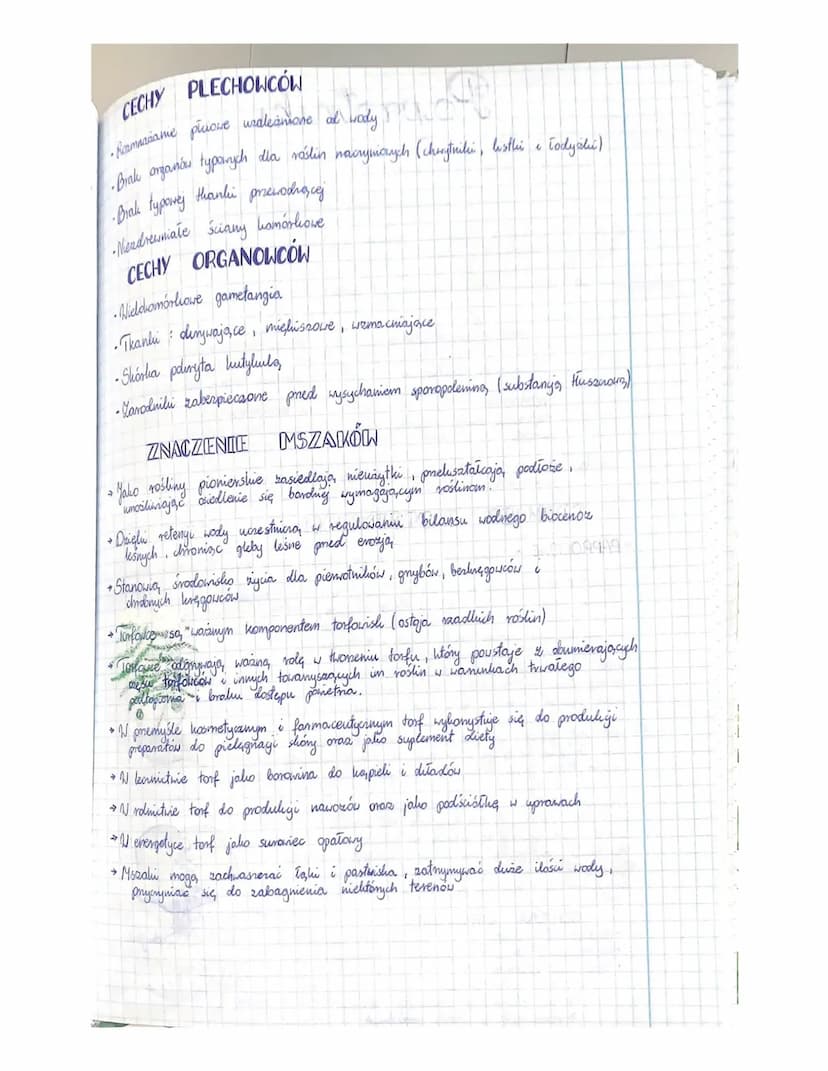 Mszaki
↳o Pierwsze rośliny lo, dove, ciągle zalezine od wody ( bo jest konieczna do
ich resmiaciania płcionego).
↳ Wystapiya, głównie w sied