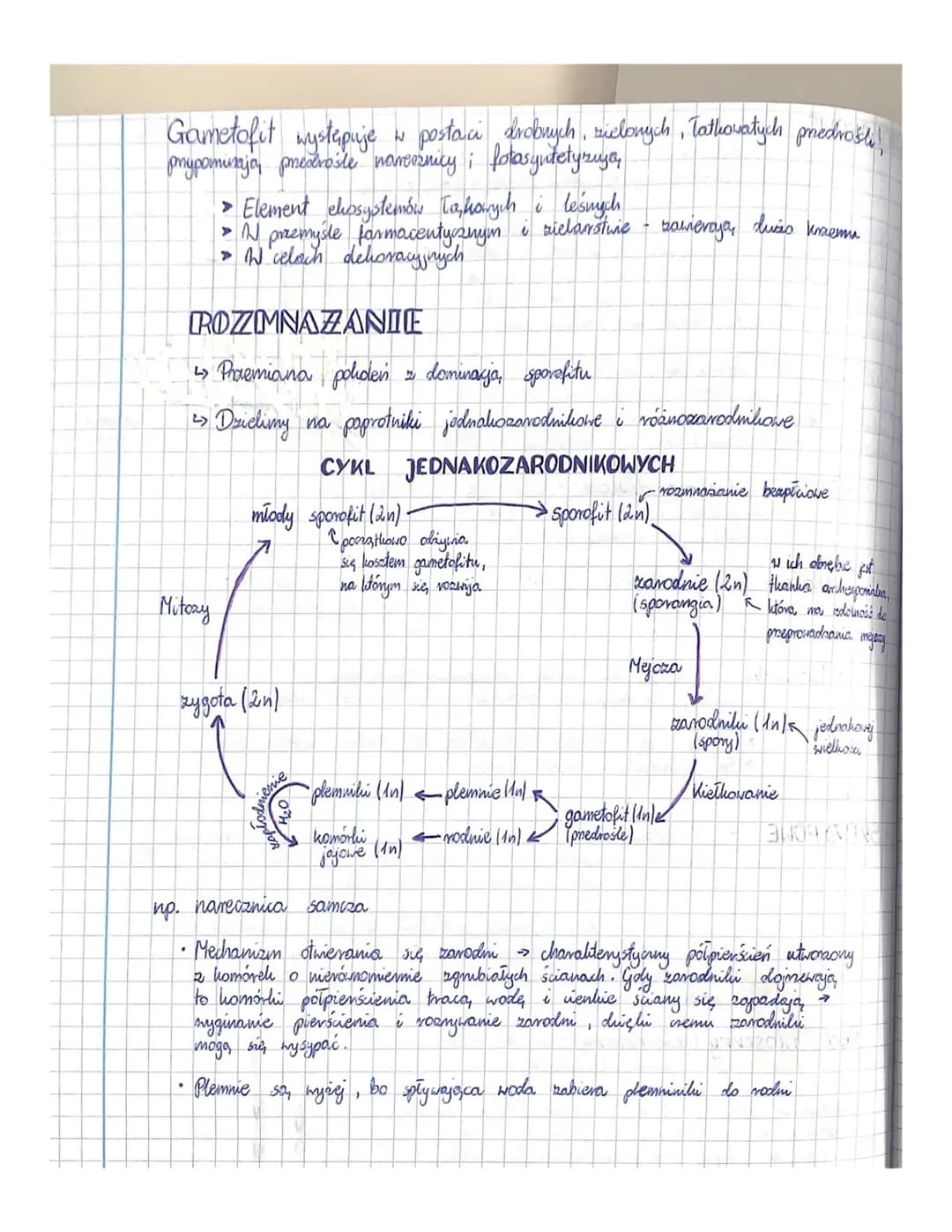 Mszaki
↳o Pierwsze rośliny lo, dove, ciągle zalezine od wody ( bo jest konieczna do
ich resmiaciania płcionego).
↳ Wystapiya, głównie w sied