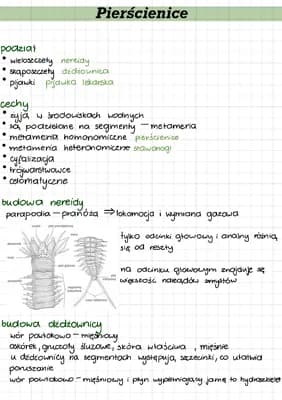 Know pierścienice thumbnail