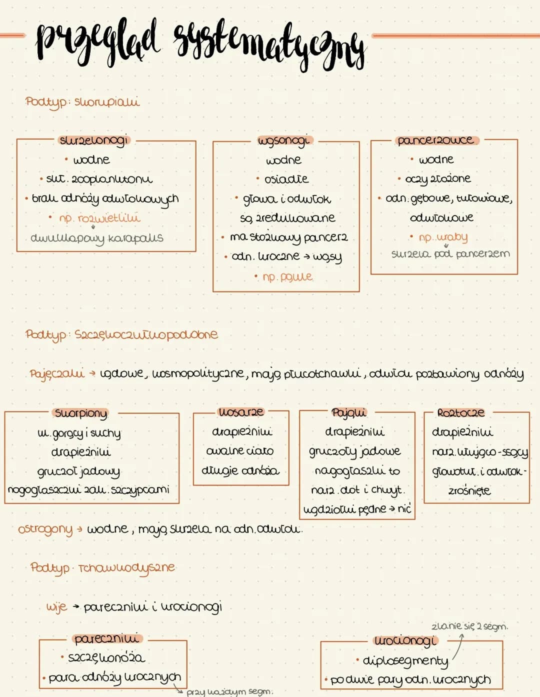 Przegląd systematyczny stawonogów