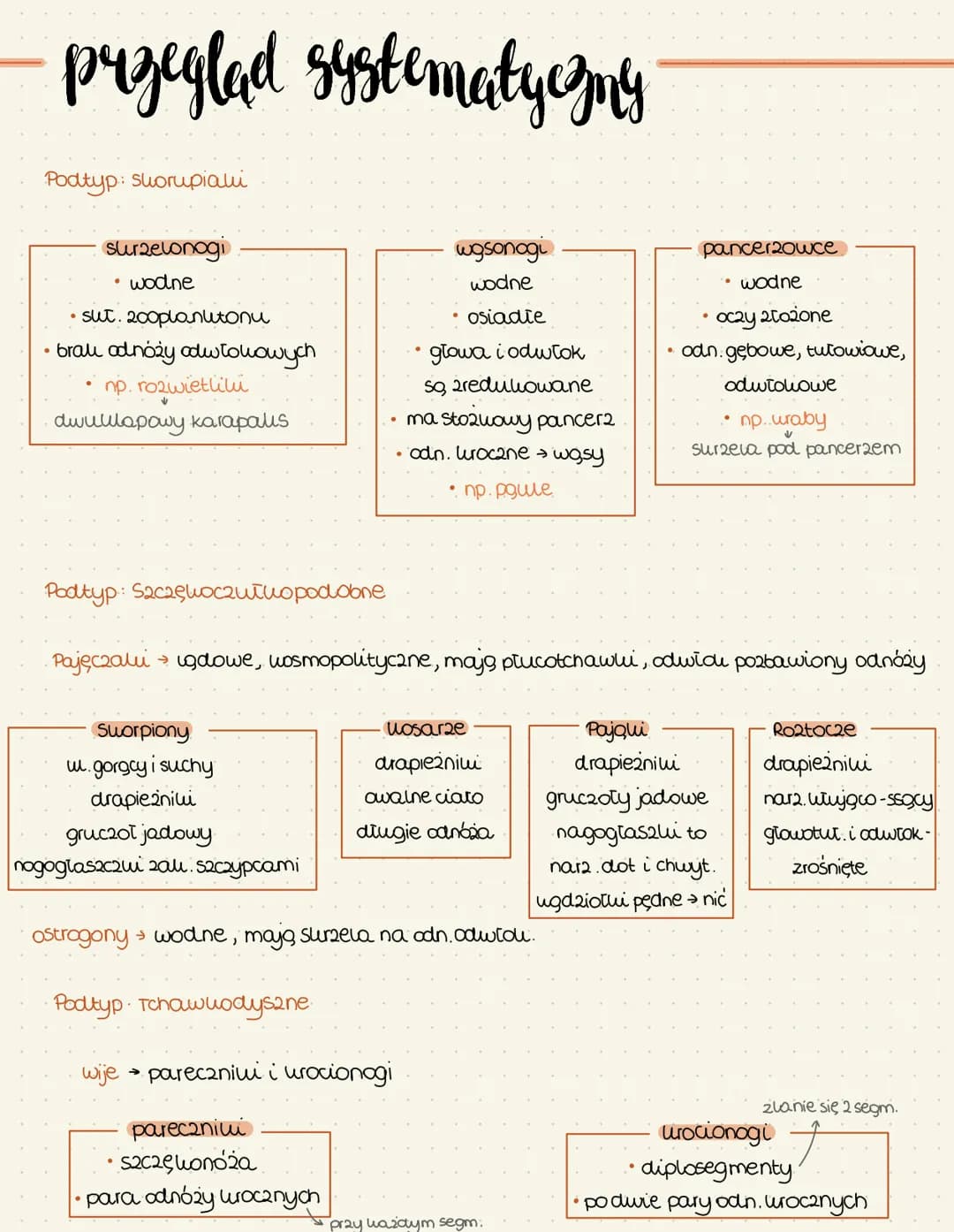 przeglad systematyczny
Podtyp: Shorupiani
surzelonogi
wodne
●
•sut. 200planutonu
•brali adnóży odwłowowych
np. rozwietliku
dwulilapowy karap