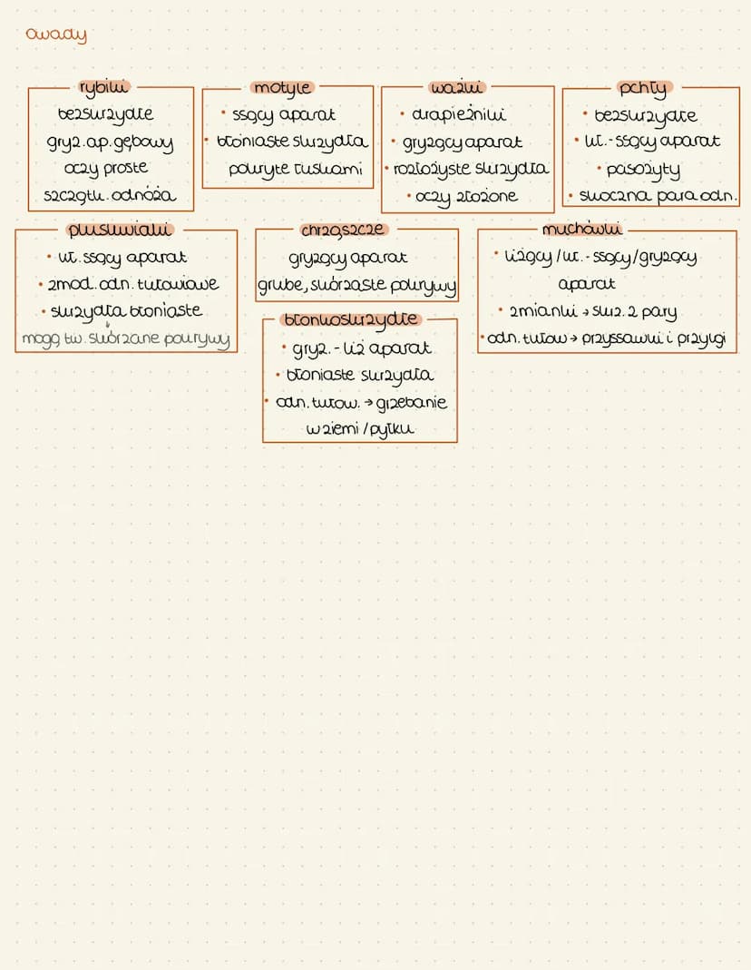 przeglad systematyczny
Podtyp: Shorupiani
surzelonogi
wodne
●
•sut. 200planutonu
•brali adnóży odwłowowych
np. rozwietliku
dwulilapowy karap