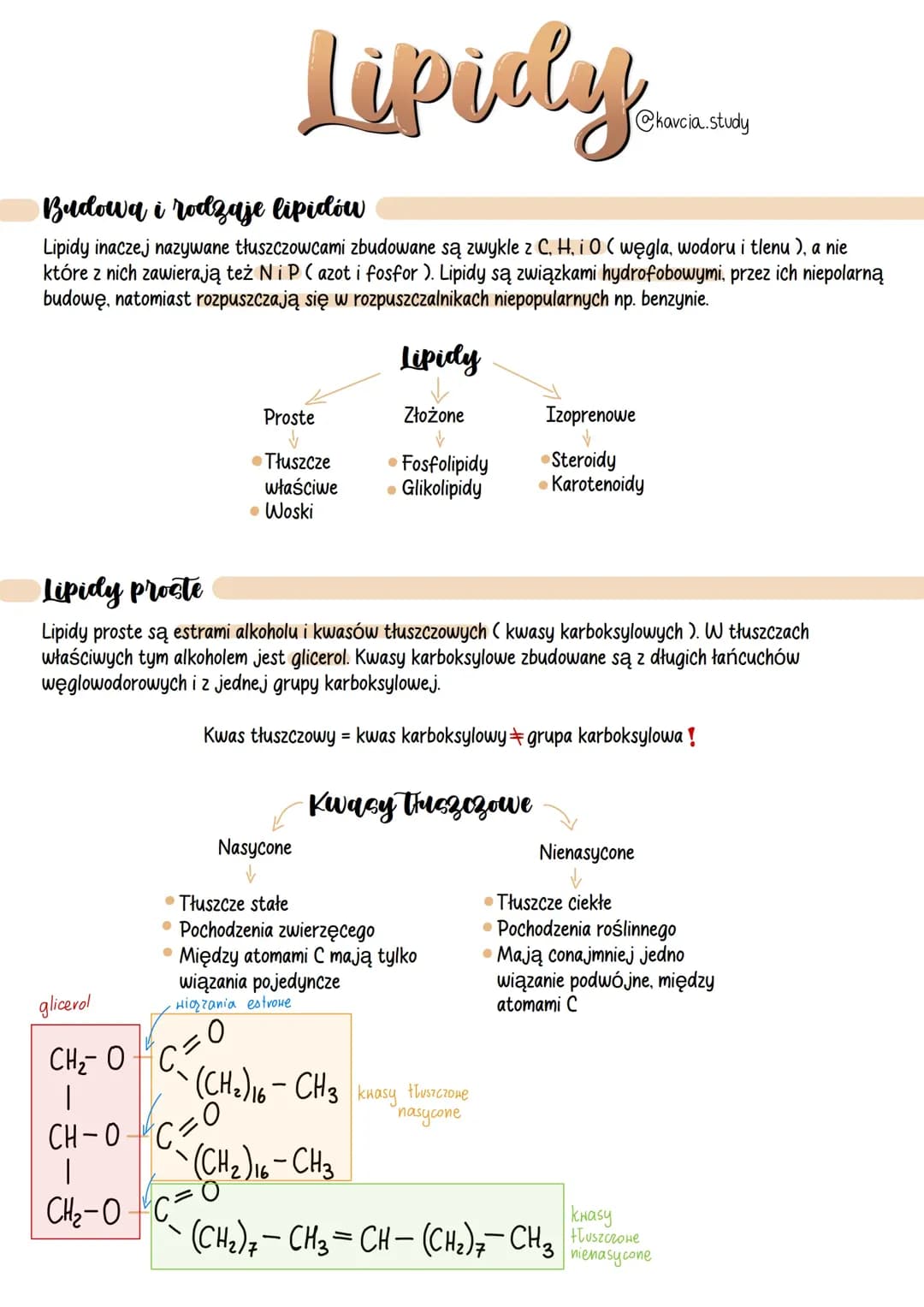 Lipidy