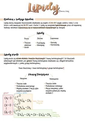 Know Lipidy thumbnail