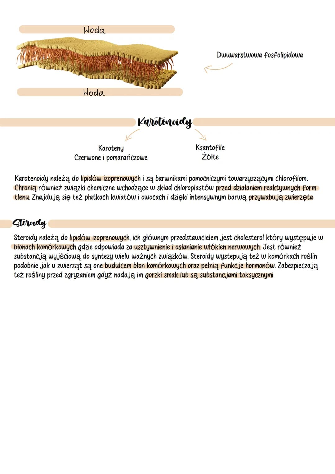 Lipidy...
Budowa i rodzaje lipidów
Lipidy inaczej nazywane tłuszczowcami zbudowane są zwykle z C, H, i 0 ( węgla, wodoru i tlenu), a nie
któ