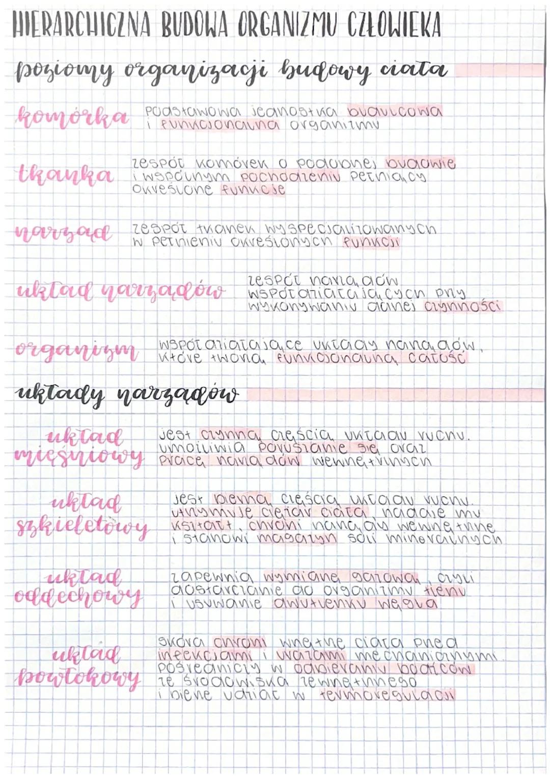 # HIERARCHICZNA BUDOWA ORGANIZMU CZŁOWIEKA

poziomy organizacji budowy ciata

komórka

Podstawowa icanostka buavicowa
i eunucionalna organiz