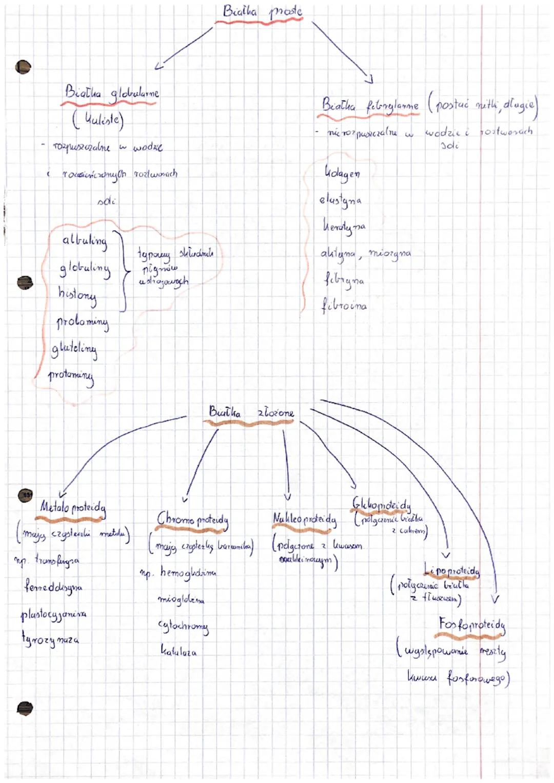 Zwigzh organicane

Aminell wusy
grepa
Kasbo ksylowa

0
C
ON

amenowa

H
N
H

Wzór ogólng

H
M₂N-C-COOH

8

N
0
N-C-C
OH
H

postar jonowa

CO