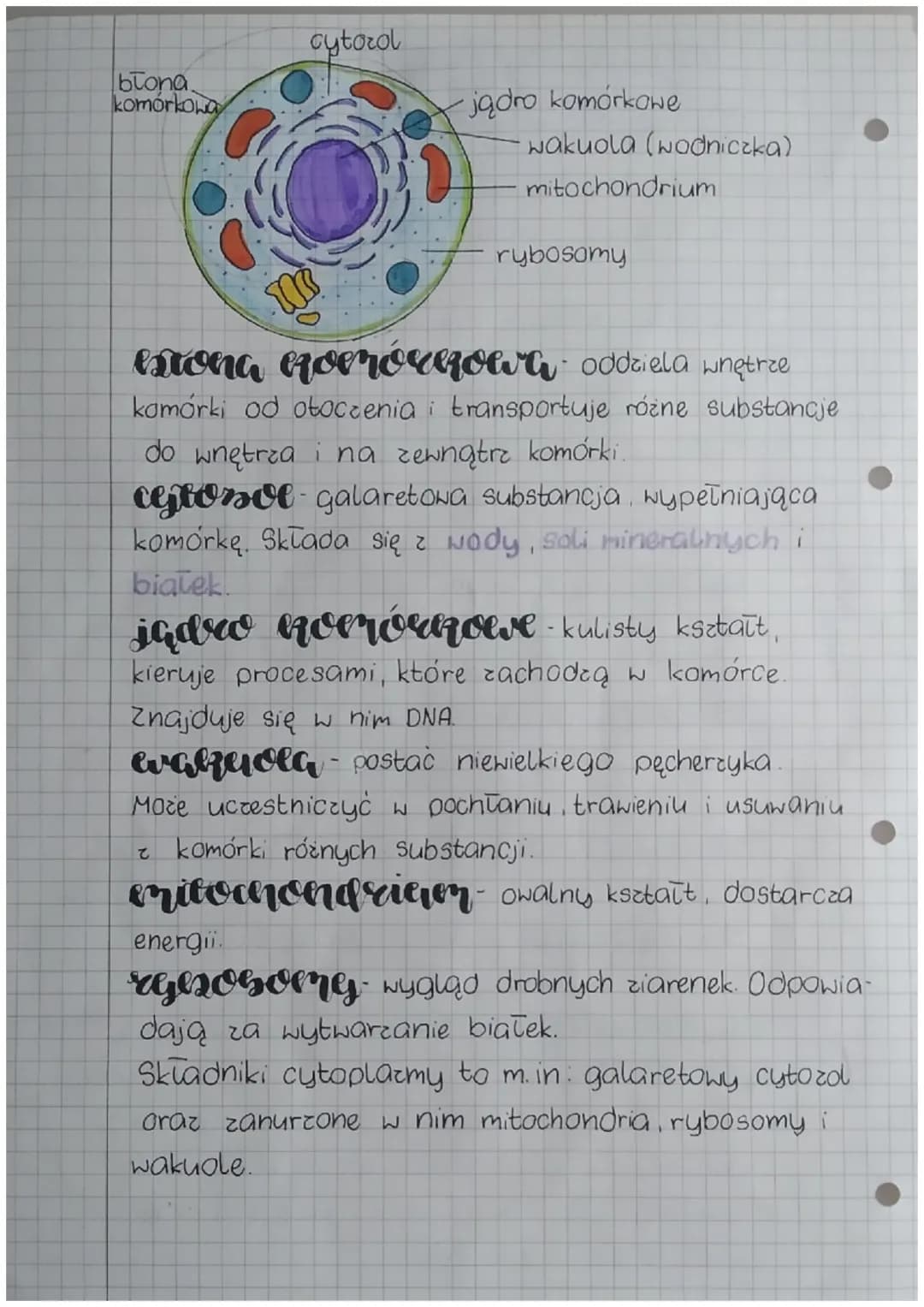biologia
eserta denieri cheericssone organiserów
Podstawowe pierwiastki chemiczne to węgiel,
wodor, tlen, azot, siarka oraz fosfor.
woda tra