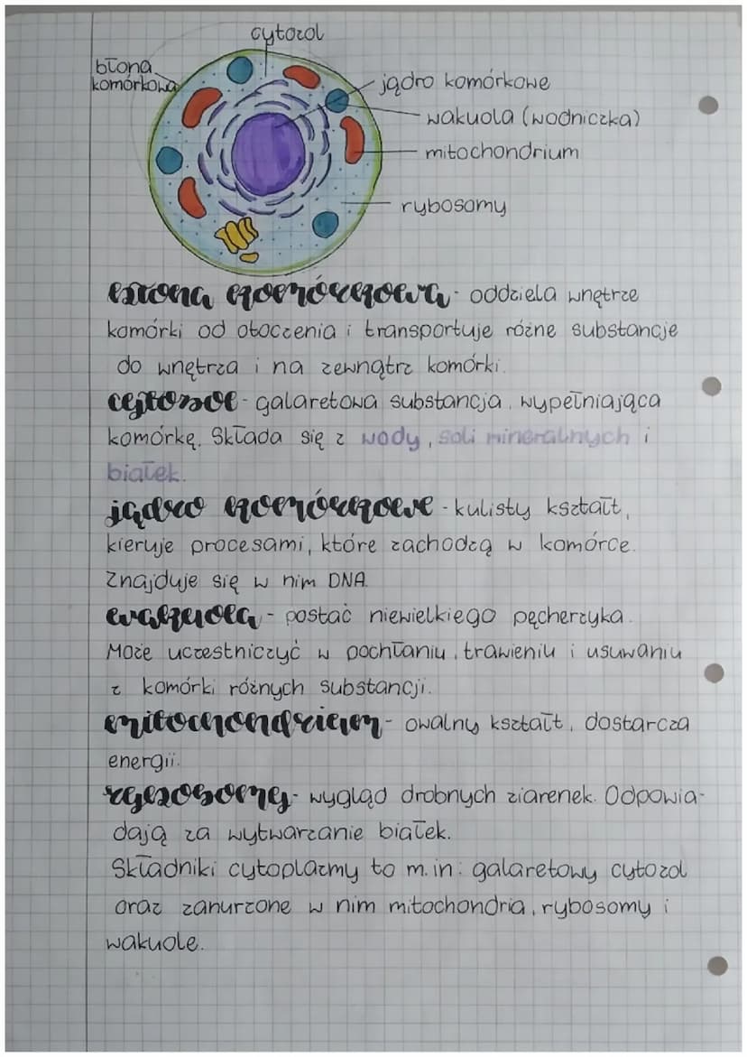 biologia
eserta denieri cheericssone organiserów
Podstawowe pierwiastki chemiczne to węgiel,
wodor, tlen, azot, siarka oraz fosfor.
woda tra