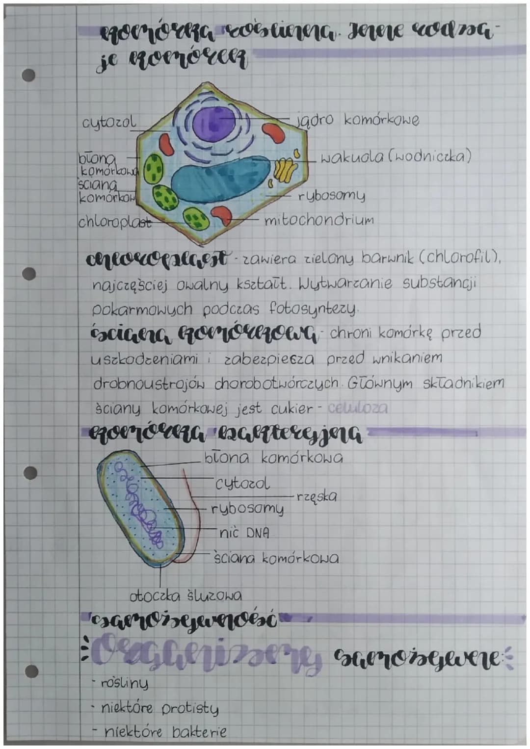 biologia
eserta denieri cheericssone organiserów
Podstawowe pierwiastki chemiczne to węgiel,
wodor, tlen, azot, siarka oraz fosfor.
woda tra