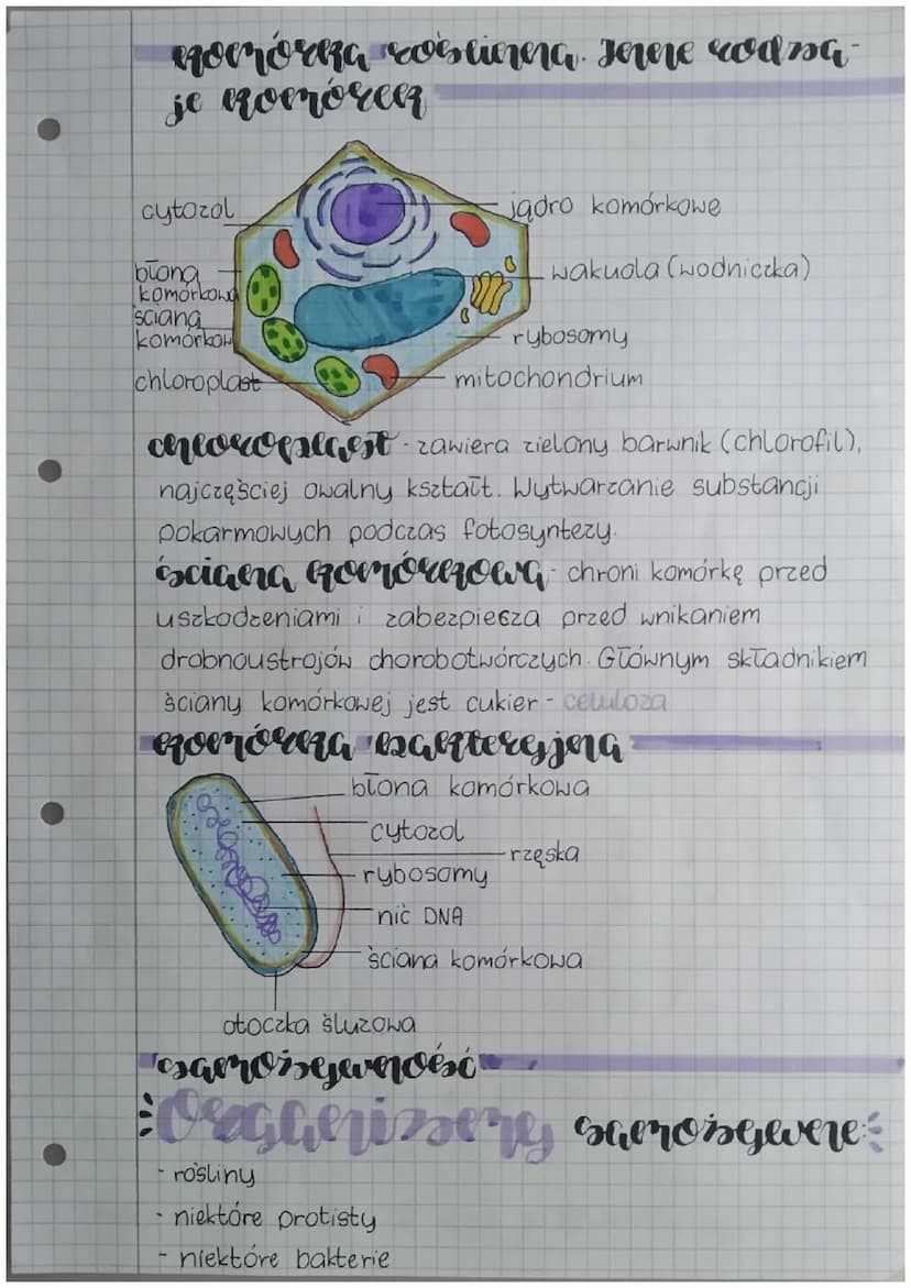 biologia
eserta denieri cheericssone organiserów
Podstawowe pierwiastki chemiczne to węgiel,
wodor, tlen, azot, siarka oraz fosfor.
woda tra