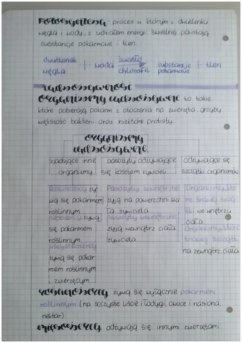 biologia
eserta denieri cheericssone organiserów
Podstawowe pierwiastki chemiczne to węgiel,
wodor, tlen, azot, siarka oraz fosfor.
woda tra