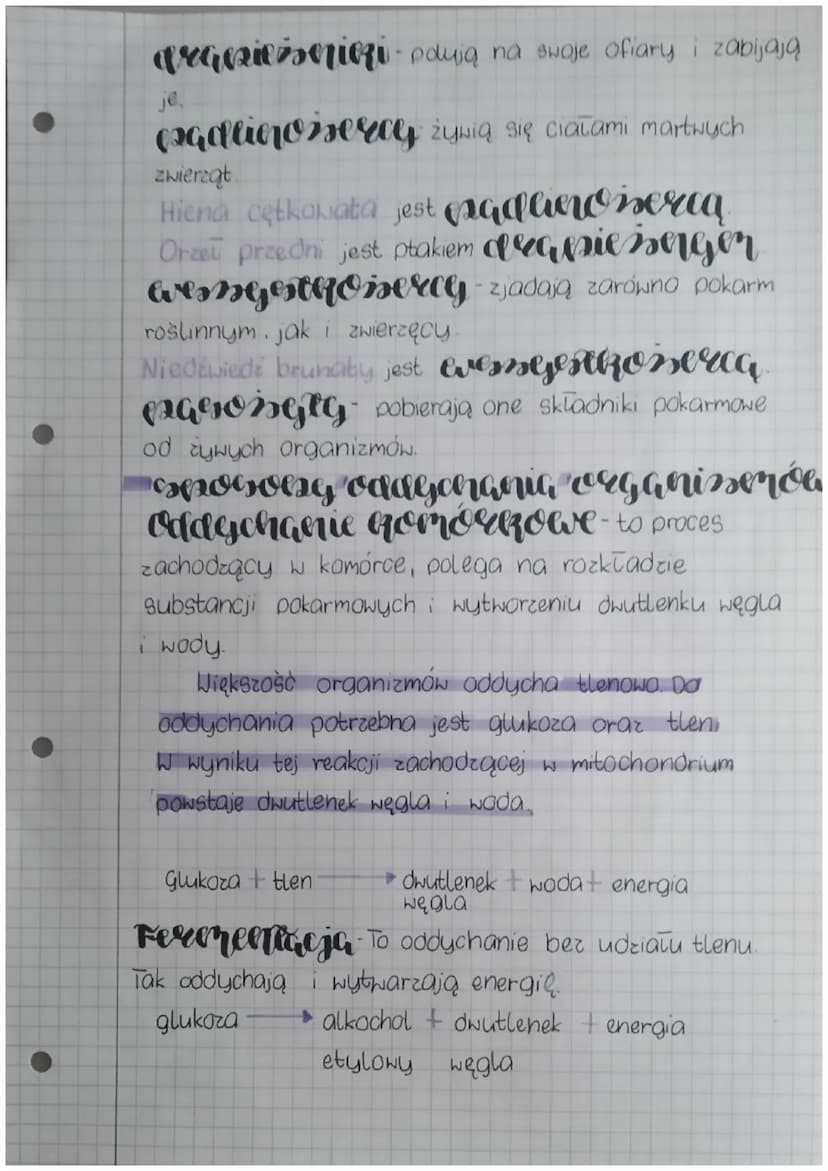 biologia
eserta denieri cheericssone organiserów
Podstawowe pierwiastki chemiczne to węgiel,
wodor, tlen, azot, siarka oraz fosfor.
woda tra