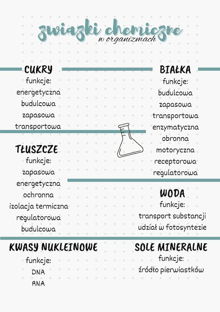 Know Podstawowe grupy związków chemicznych występujących w organizmach (białka, cukry, tłuszcze, kwasy nukleinowe, woda, sole mineralne) thumbnail