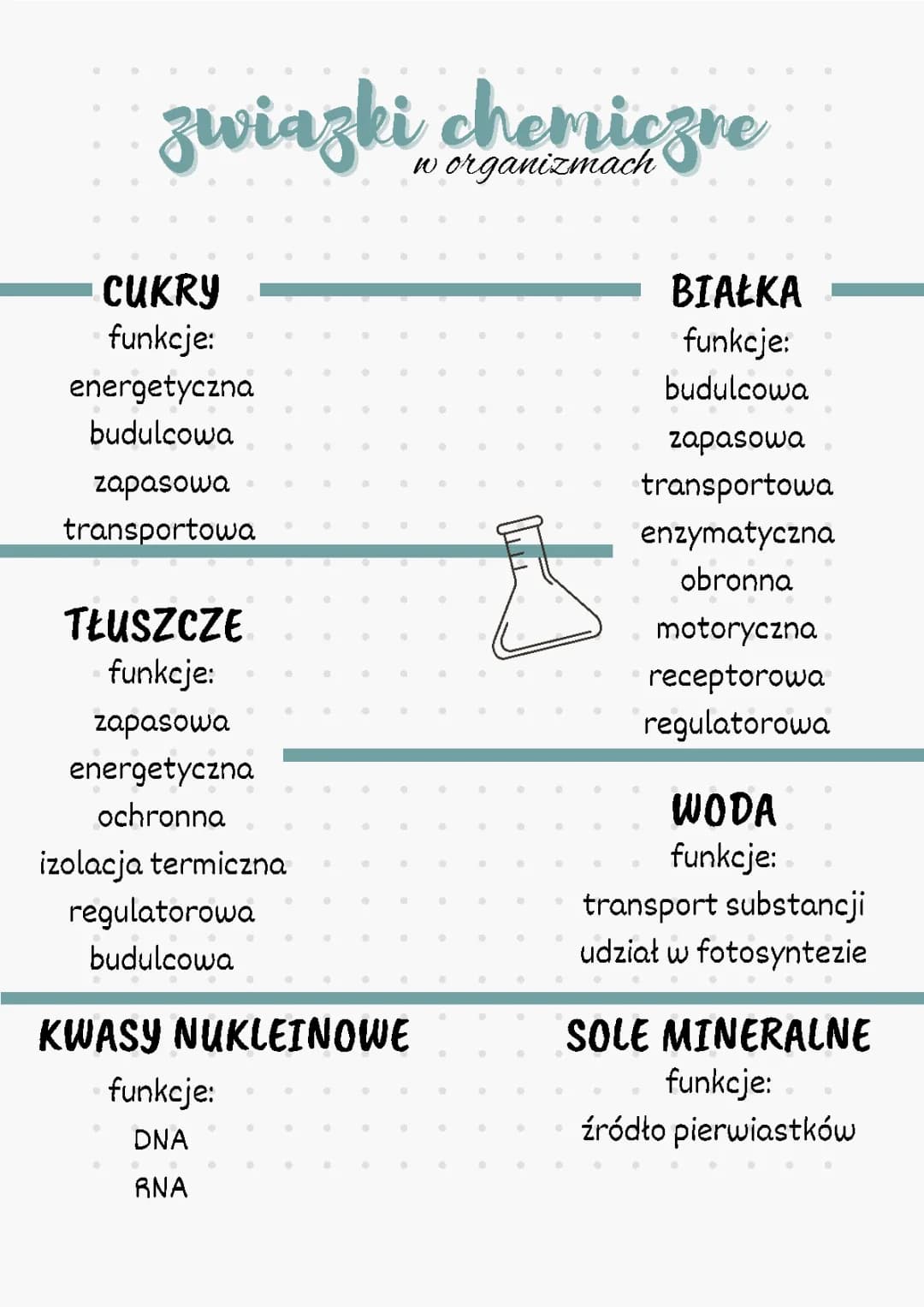 Skład chemiczny organizmów: białka, cukry, tłuszcze i sole mineralne dla klasy 5