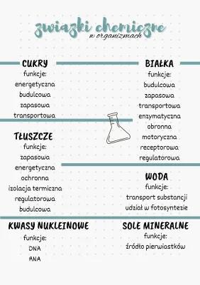 Know Podstawowe grupy związków chemicznych występujących w organizmach (białka, cukry, tłuszcze, kwasy nukleinowe, woda, sole mineralne) thumbnail