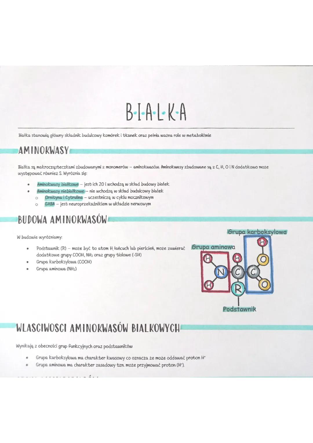 Wszystko o aminokwasach i białkach