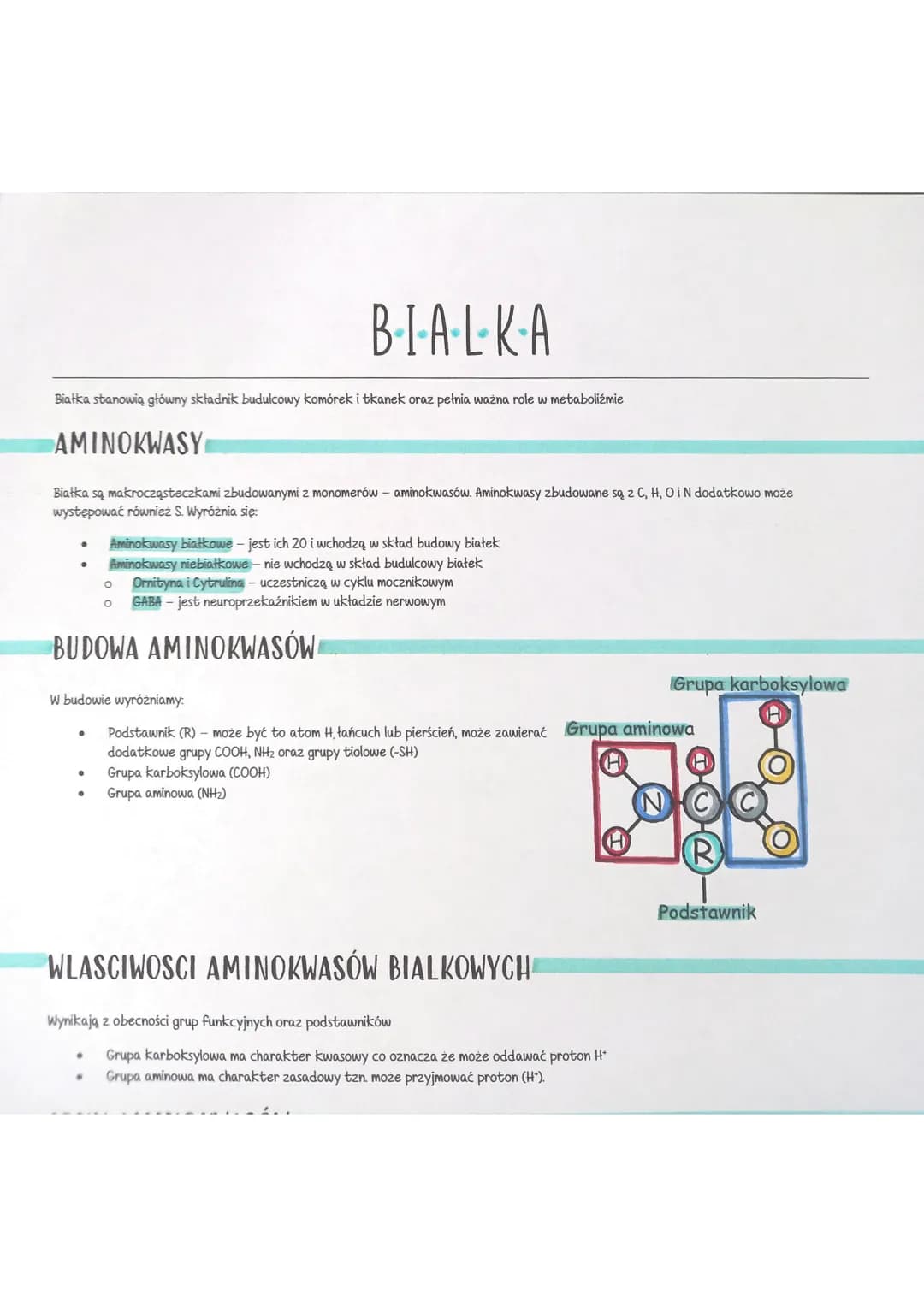 
<p>Białka stanowią główny składnik budulcowy komórek i tkanek oraz pełnią ważną rolę w metabolizmie.</p>
<h2 id="aminokwasybiakowe">Aminokw