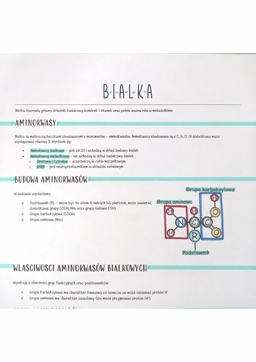 
<p>Białka stanowią główny składnik budulcowy komórek i tkanek oraz pełnią ważną rolę w metabolizmie.</p>
<h2 id="aminokwasybiakowe">Aminokw