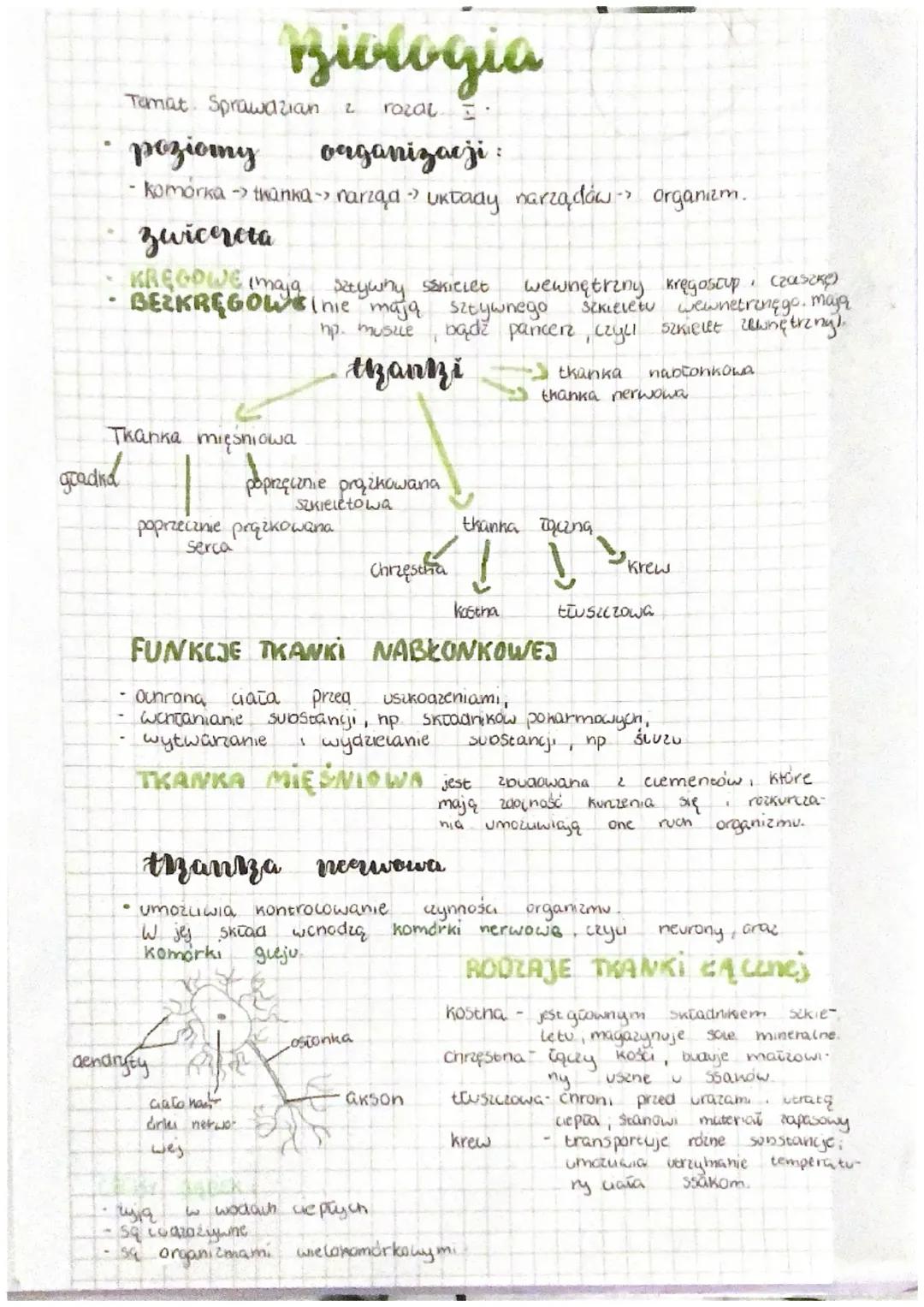 „Świat zwierząt” – podsumowanie pierwszego rozdziału 