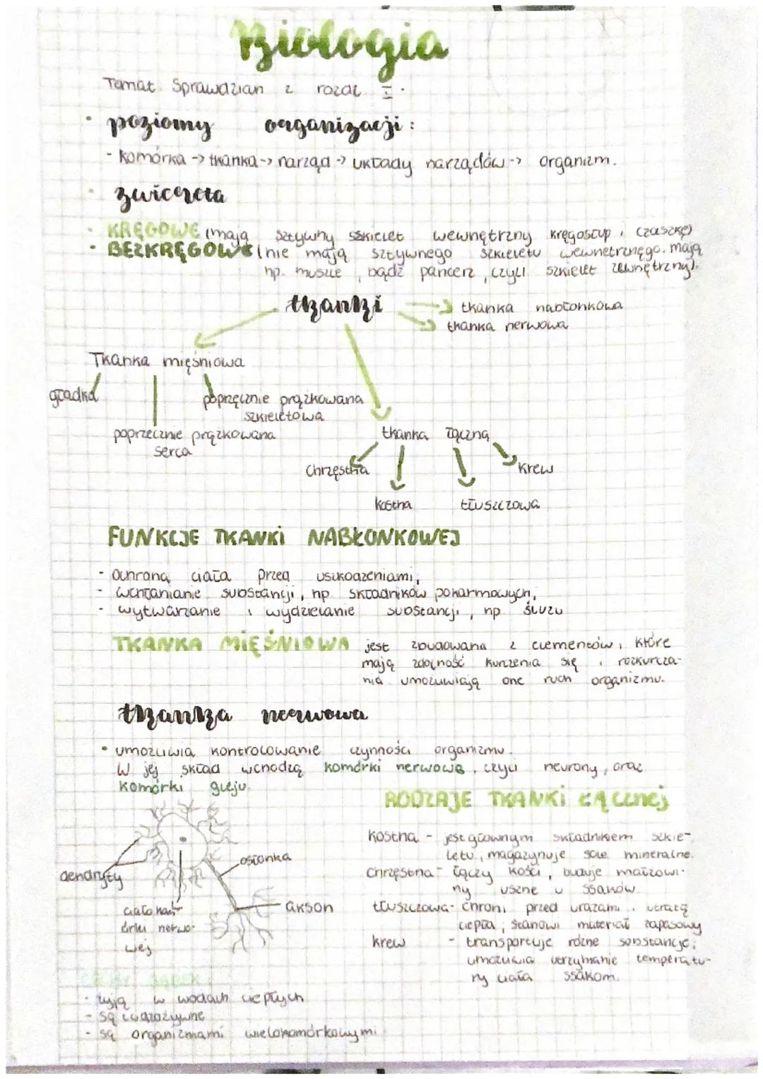 Tamat Sprawdzian
poziomy
- komórka →> tkanka-> narząd Uktady narządów →> organizm.
gradina
Biologia
2 rozal
organizacji:
Tkanka mięśniowa
zw