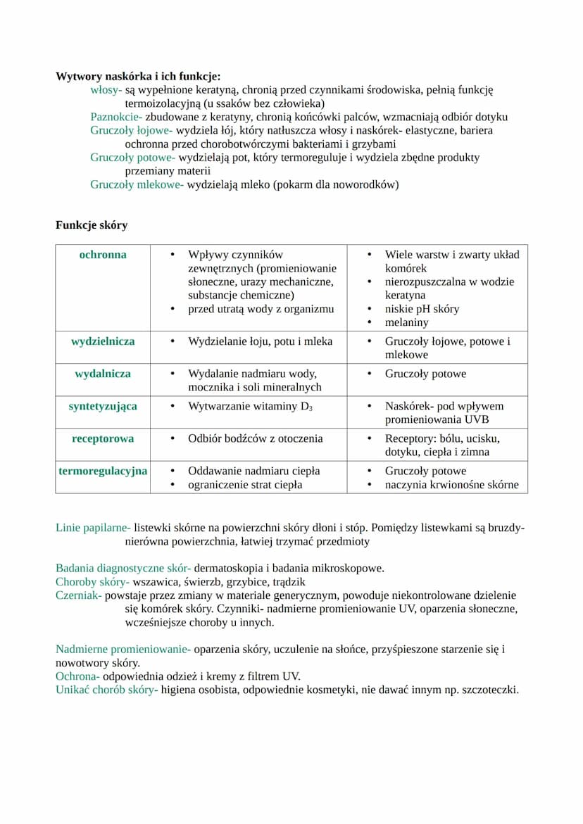 Skóra składa się z:
naskórka- jest zbudowany z nabłonka wielowarstwowego płaskiego. Dzieli się na:
warstwa zrogowaciała
Jest zbudowana z mar