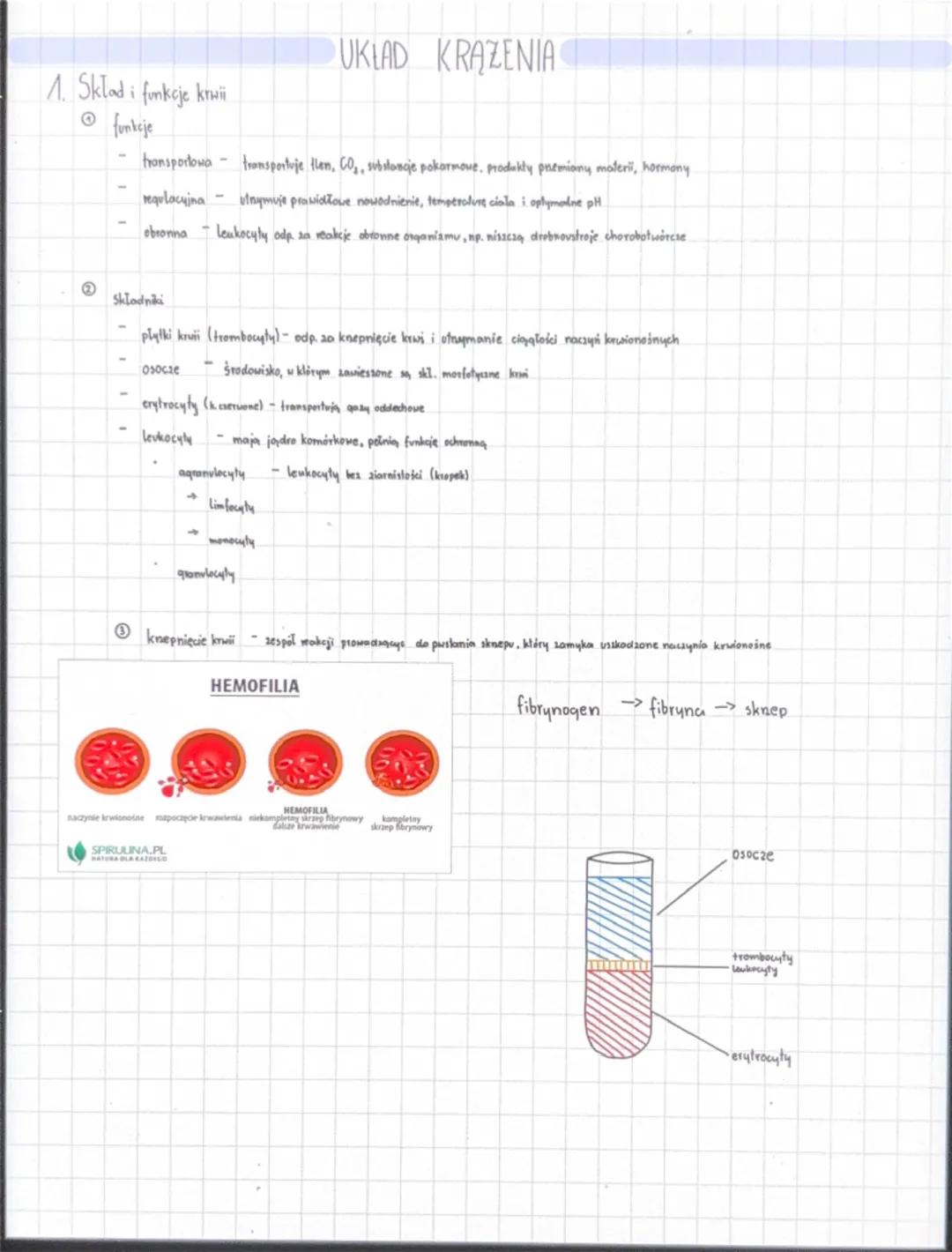 1. Sklad i funkcje kruii
UKLAD KRAZENIA
funkcje
transportowa - transportuje tlen, CO₂, substancje pokormove, produkty premiany maleri, hormo