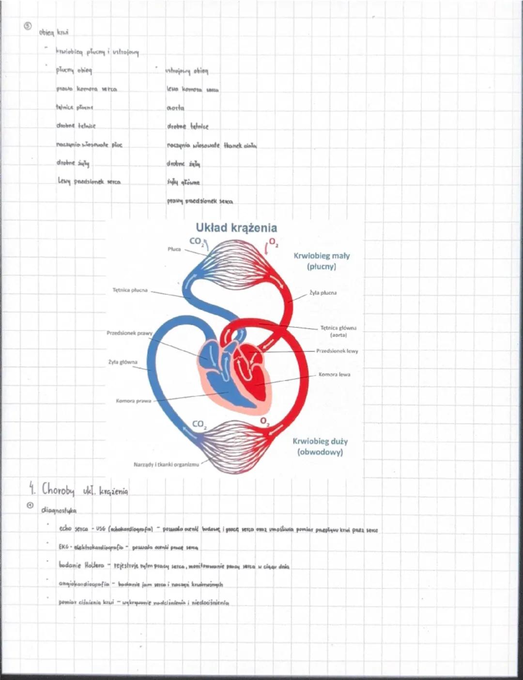 1. Sklad i funkcje kruii
UKLAD KRAZENIA
funkcje
transportowa - transportuje tlen, CO₂, substancje pokormove, produkty premiany maleri, hormo