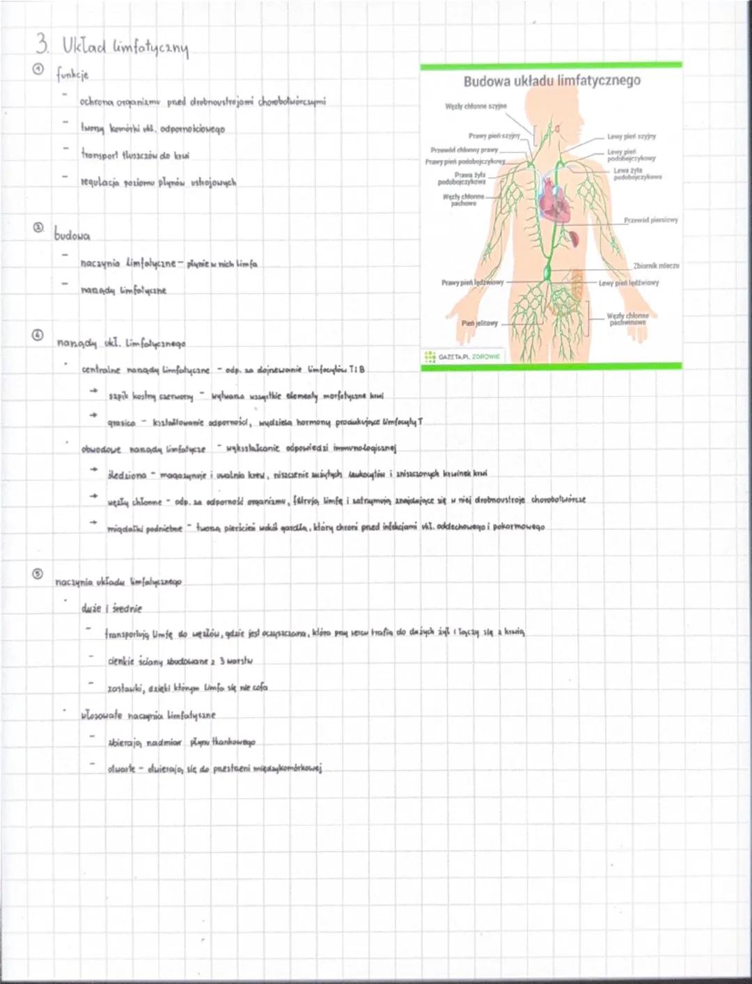 1. Sklad i funkcje kruii
UKLAD KRAZENIA
funkcje
transportowa - transportuje tlen, CO₂, substancje pokormove, produkty premiany maleri, hormo