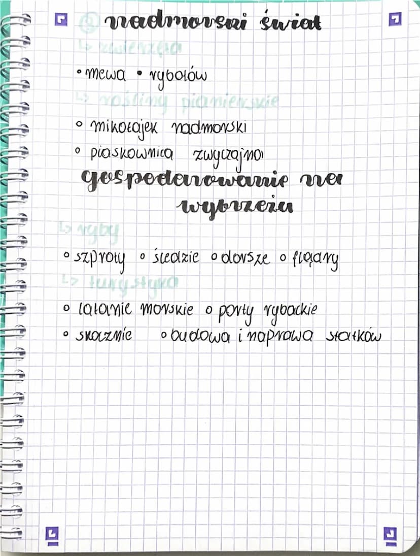 geografici
Co to jest krajobraz
112 - Obraz danego obszaru
↳ elementy
• ukształtowanie powierzchni (równing, góry)
。 skaty (gramit, piosek>
