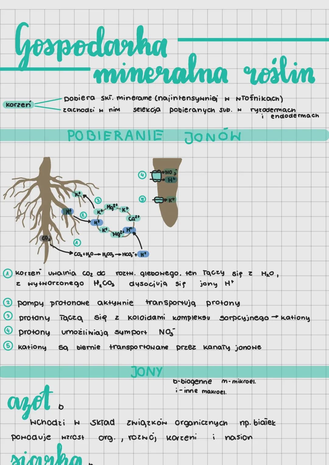 Gospodarka mineralna roślin 